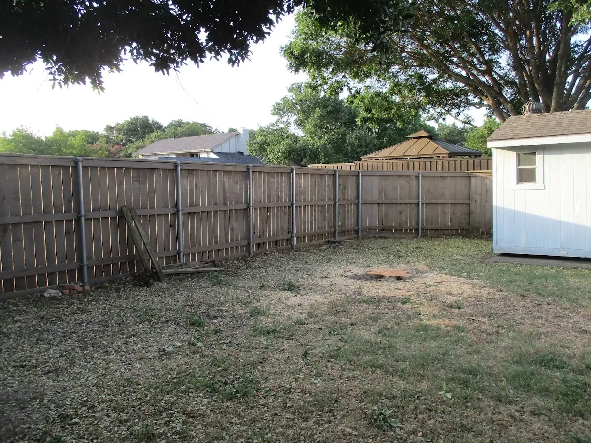 Cleared yard after professional tree removal in Sandy Lake