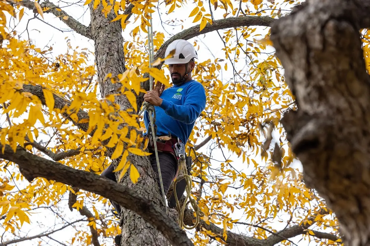 Skilled Storm Damage Cleanup crew working in Sandy Lake