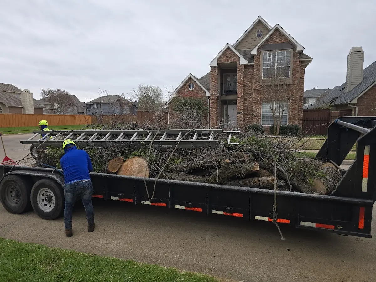 Expert Tree Removal with proper safety equipment in Sandy Lake